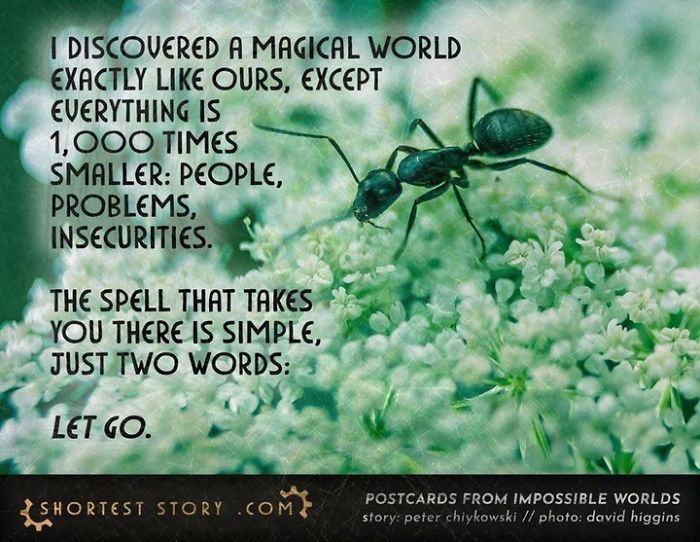 Micro-Short-Stories-Peter-Chiykowski