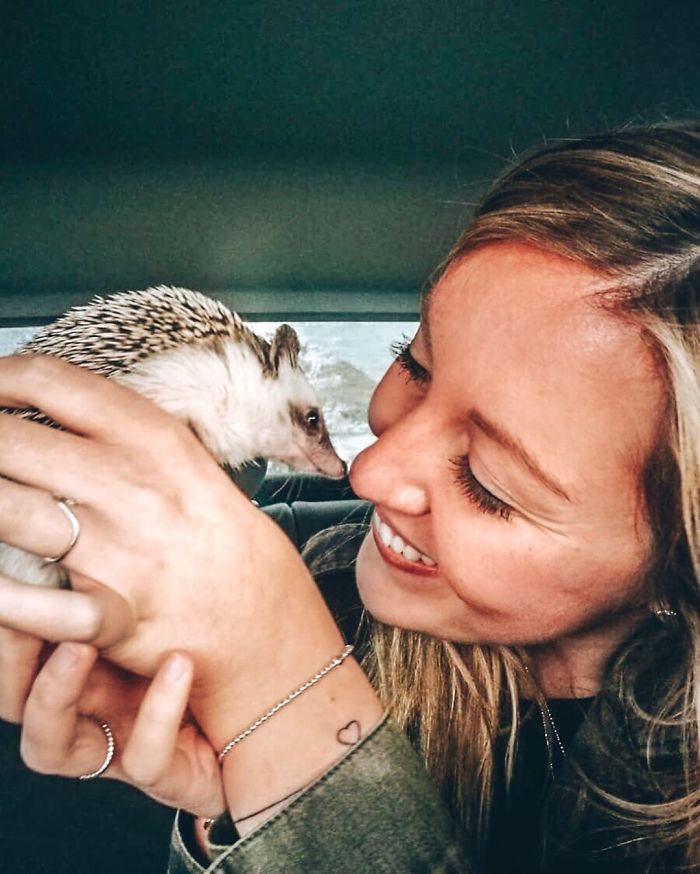 This Lovely Smiling Porcupine Has 1.5 Million Followers On Your Instagram And We Are Sure You Will Be One Of Them Too