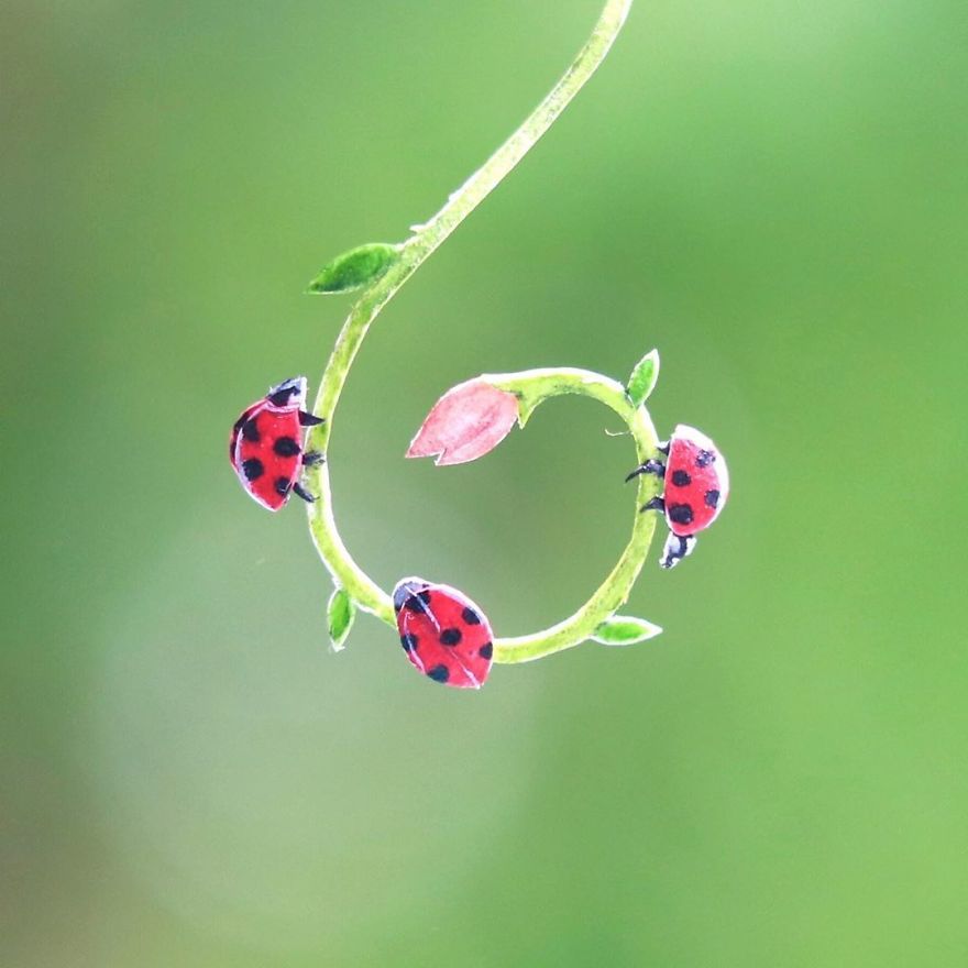 We’ve Been Creating Miniature Paper Birds And Animals Every Day Since 1st January 2018