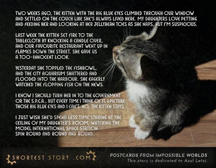 Micro-Short-Stories-Peter-Chiykowski