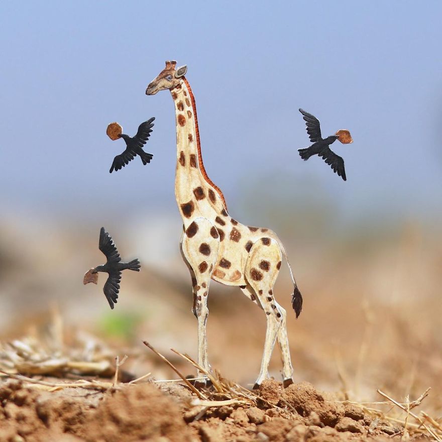We’ve Been Creating Miniature Paper Birds And Animals Every Day Since 1st January 2018