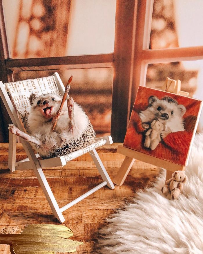 This Lovely Smiling Porcupine Has 1.5 Million Followers On Your Instagram And We Are Sure You Will Be One Of Them Too