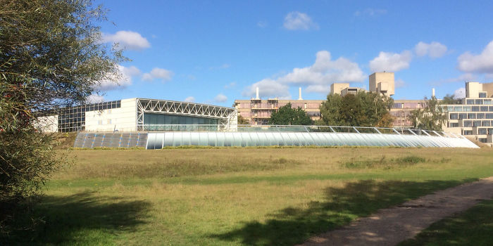 This Guy Accidentally Stumbled Upon The 'Avengers: Endgame' Filming Location This Guy Accidentally Stumbled Upon The 'Avengers: Endgame' Filming Location