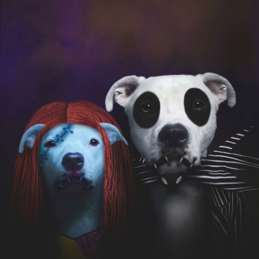 "I Never Intended All This Madness"