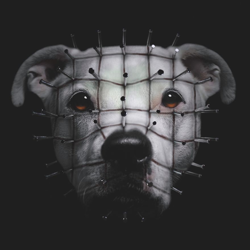 "No Tears, Please, It's A Waste Of Good Suffering"