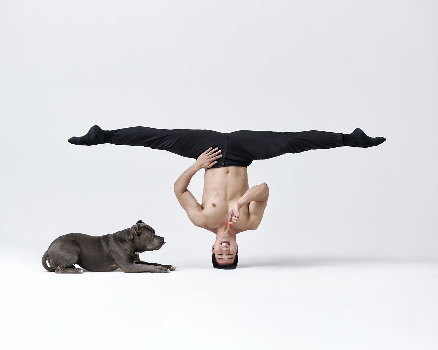 Dancers & Dogs Playfully Share The Spotlight In A New Photography Book