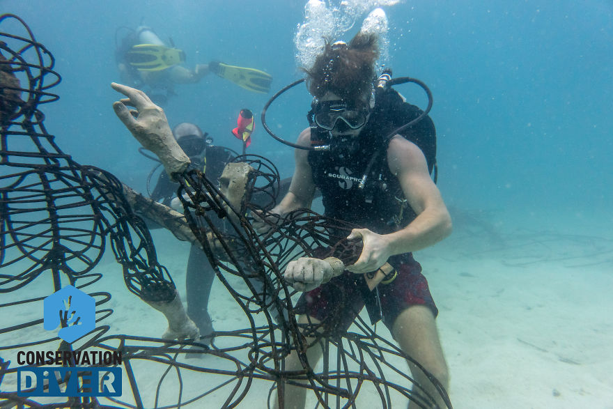 I Spent 1 Year Creating A Sculpture That Works With Electrical Current Which Helps Corals Grow 3-5 Times Faster (13 Pics)