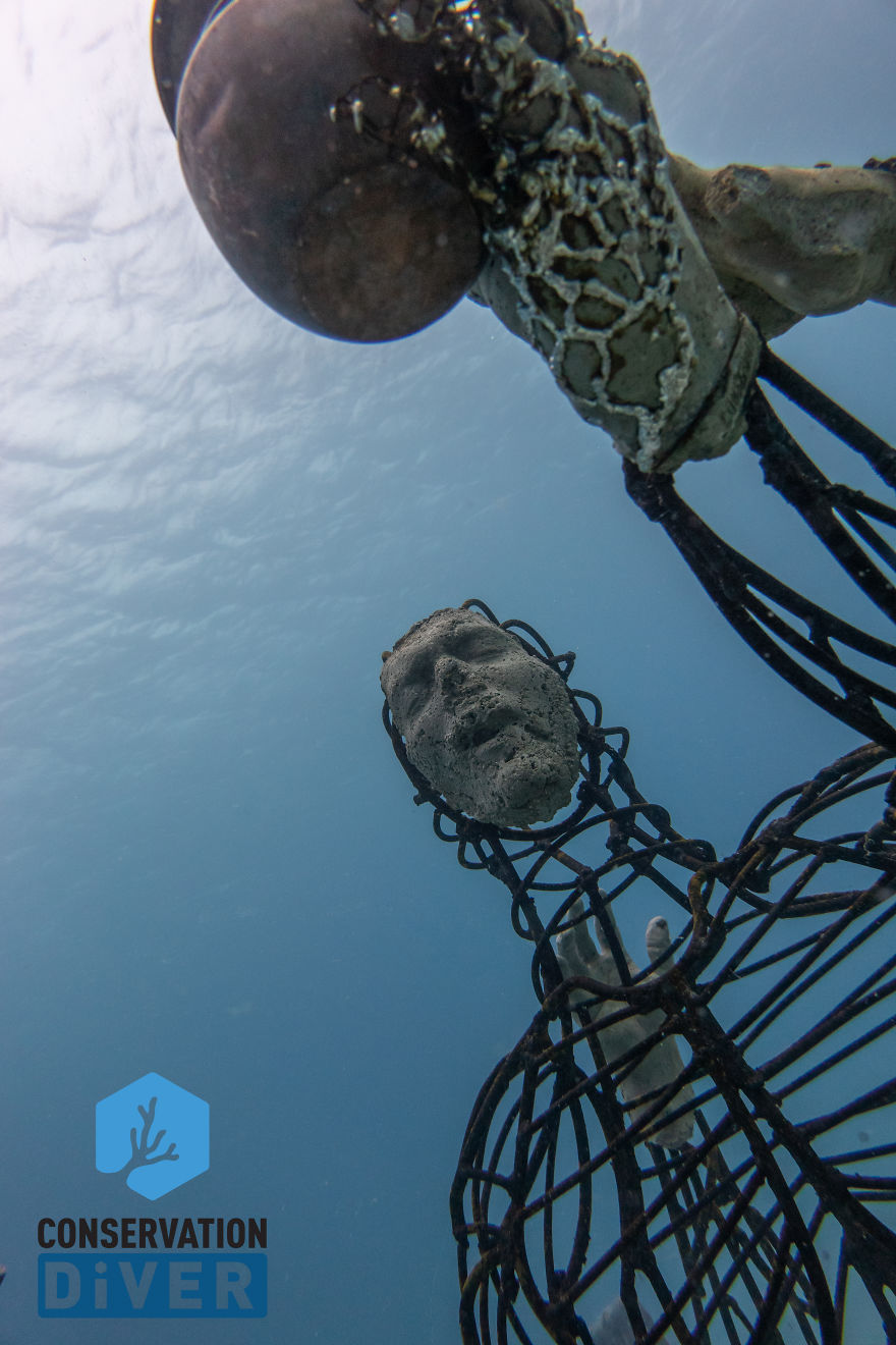 I Spent 1 Year Creating A Sculpture That Works With Electrical Current Which Helps Corals Grow 3-5 Times Faster (13 Pics)