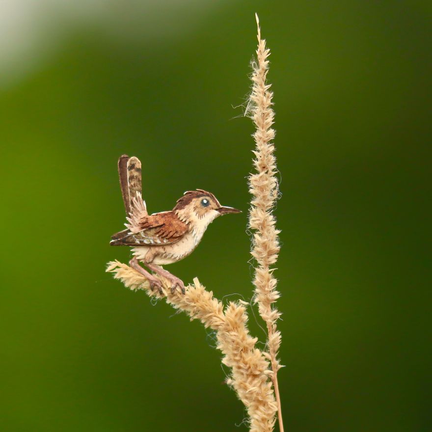 We’ve Been Creating Miniature Paper Birds And Animals Every Day Since 1st January 2018