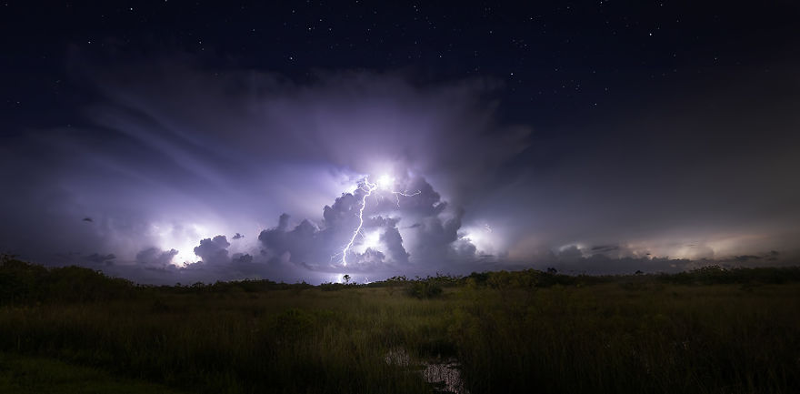 Exploring The Dark Skies Of The Everglades Exploring The Dark Skies Of The Everglades