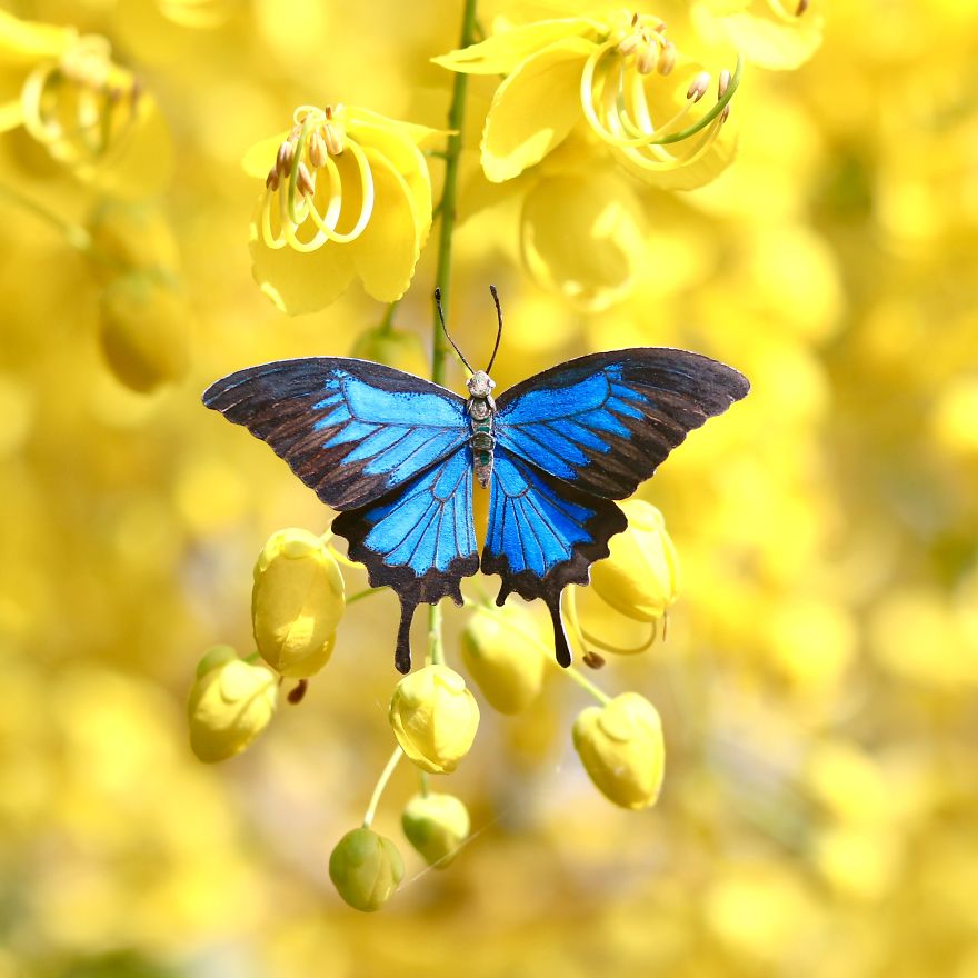 We’ve Been Creating Miniature Paper Birds And Animals Every Day Since 1st January 2018