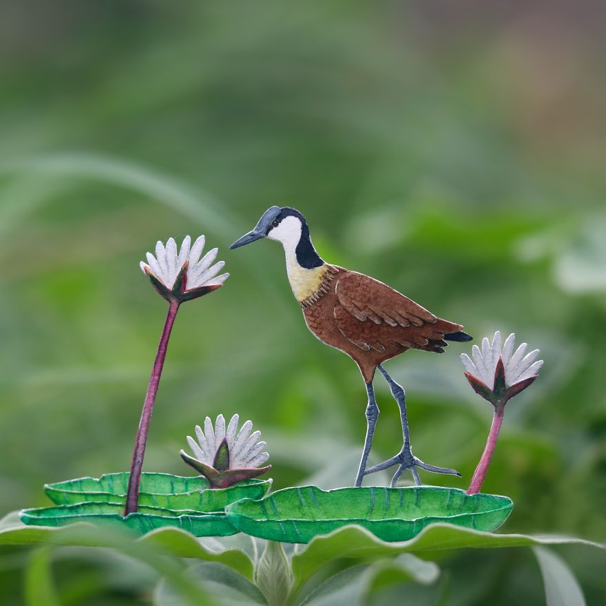 We’ve Been Creating Miniature Paper Birds And Animals Every Day Since 1st January 2018