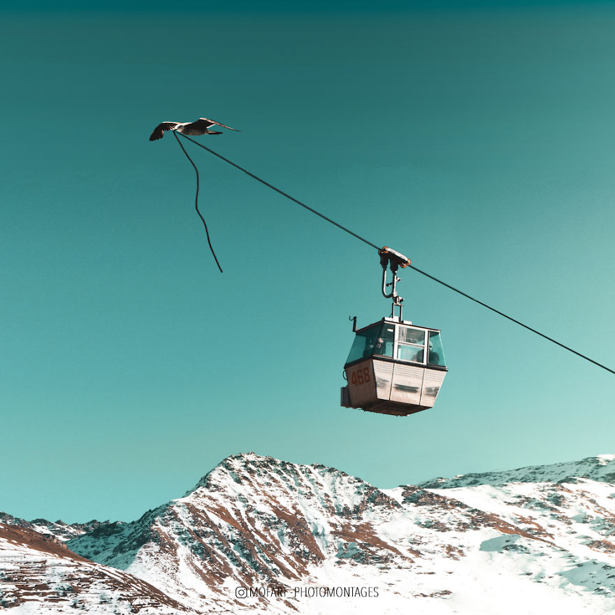 Free Your Imagination