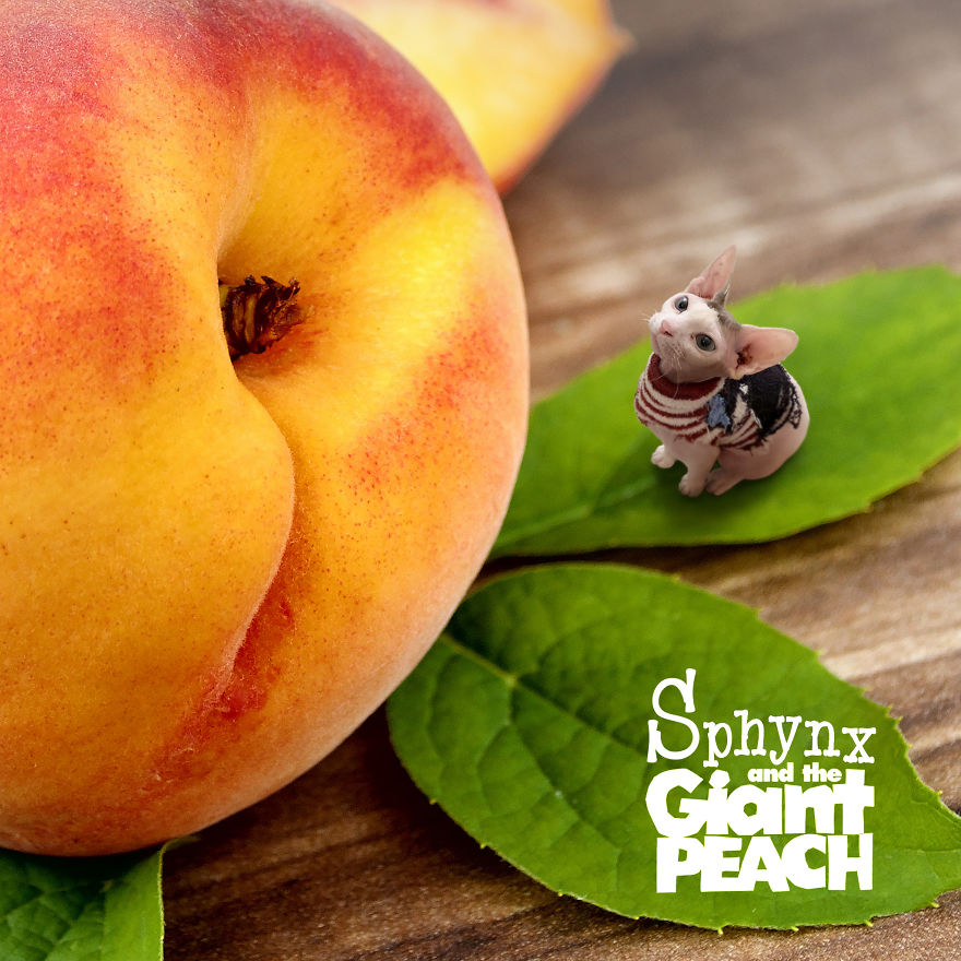 James And The Giant Peach