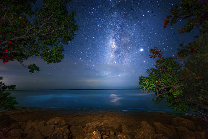 Exploring The Dark Skies Of The Everglades