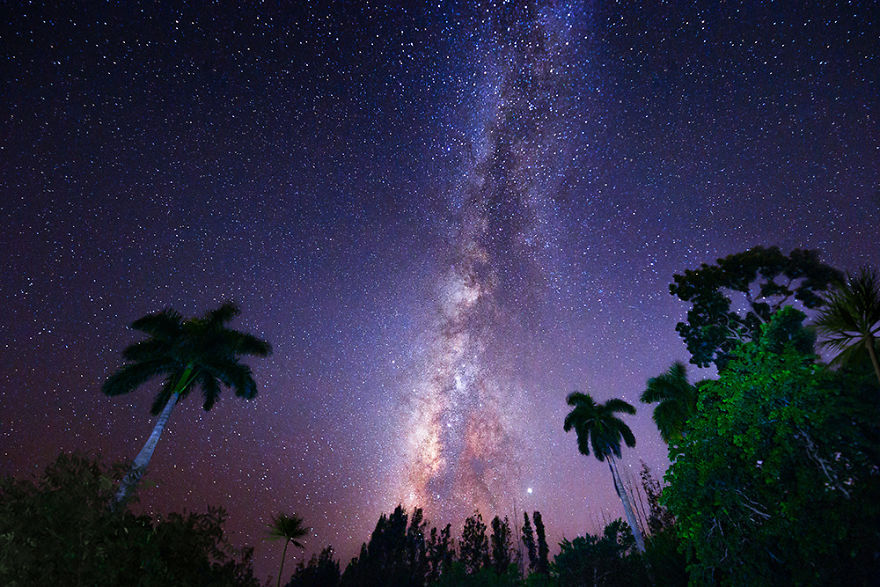 Exploring The Dark Skies Of The Everglades Exploring The Dark Skies Of The Everglades