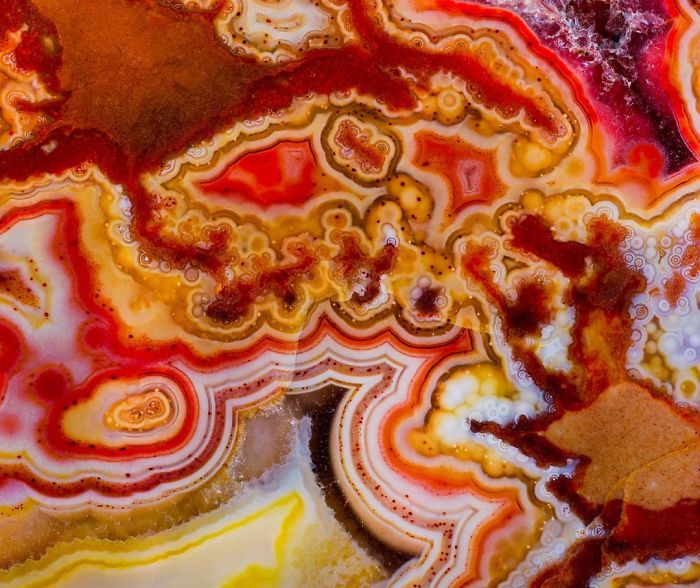 Extreme Macro Of Crazy Lace