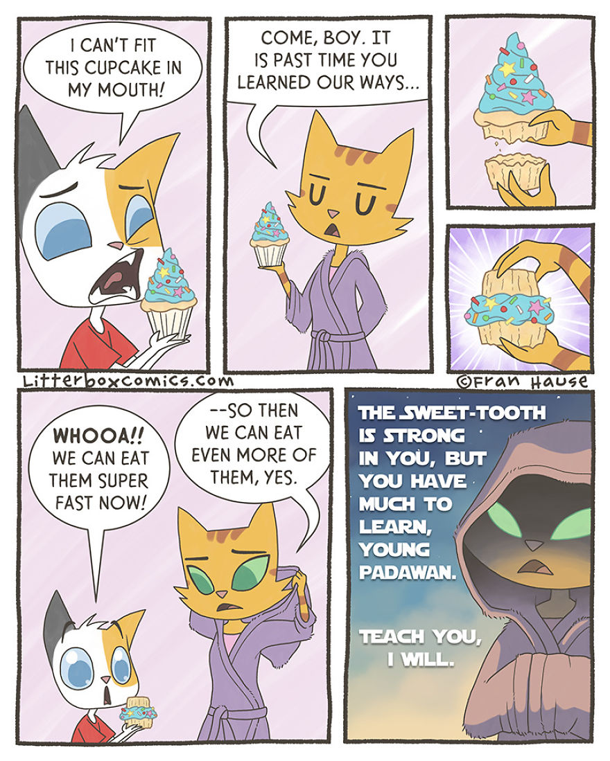 Teaching The Younglings