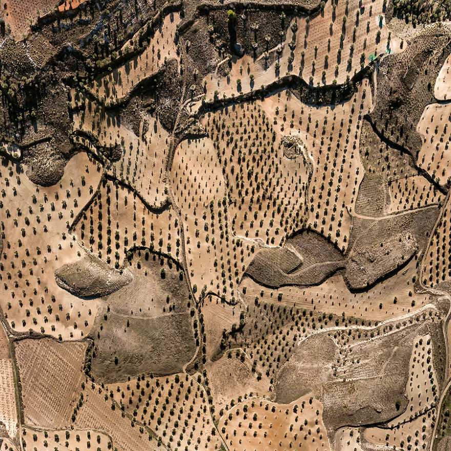 Las Arroyadas De Cerca