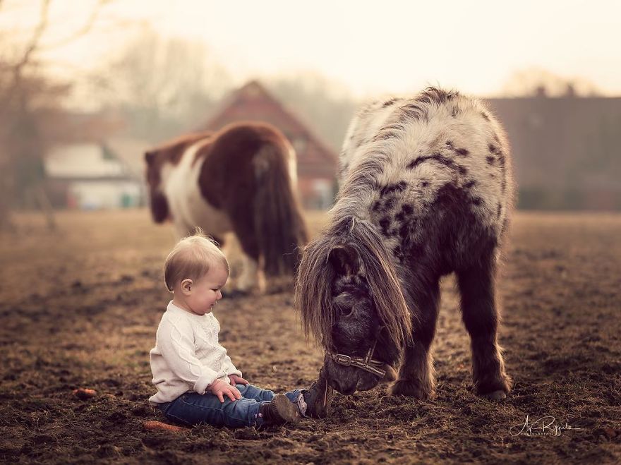 In Only 3 Years A Proffesional Photographer