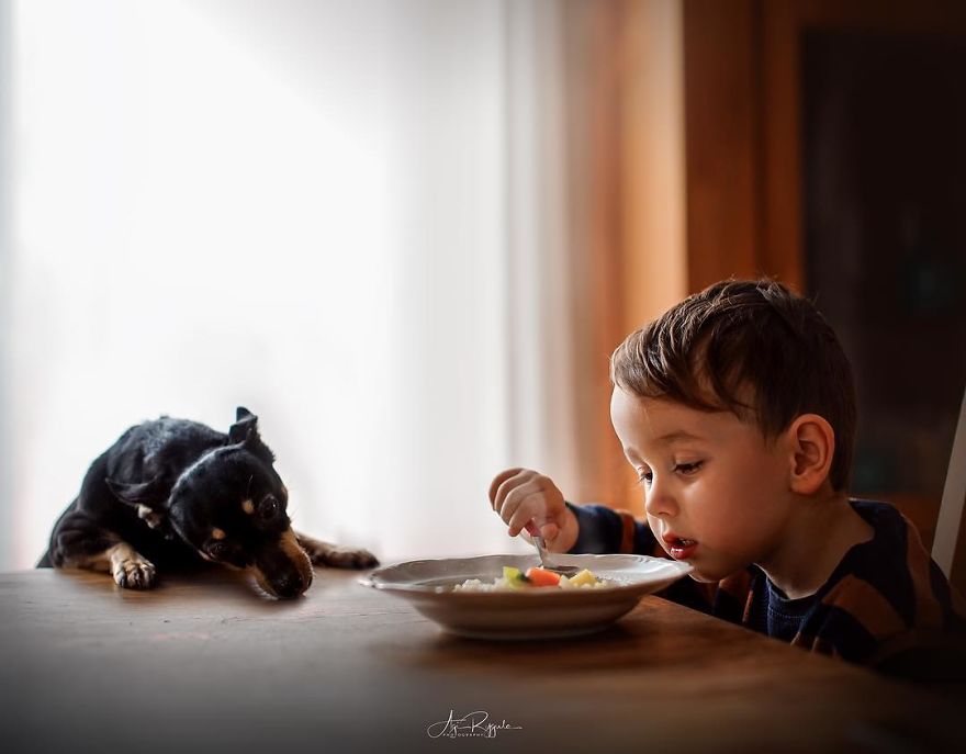 In Only 3 Years A Proffesional Photographer