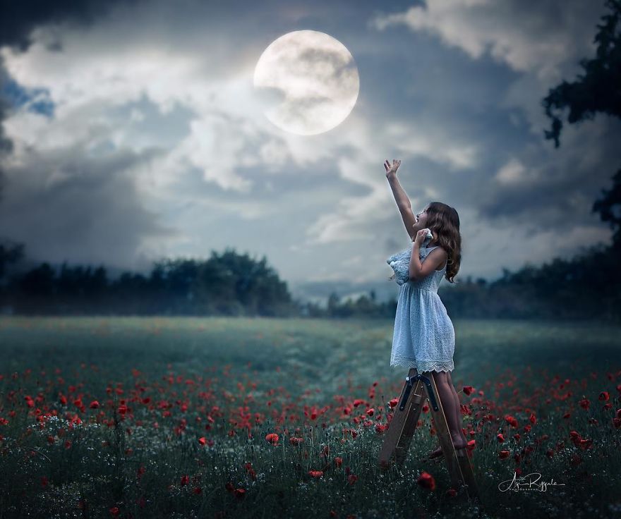 In Only 3 Years A Proffesional Photographer