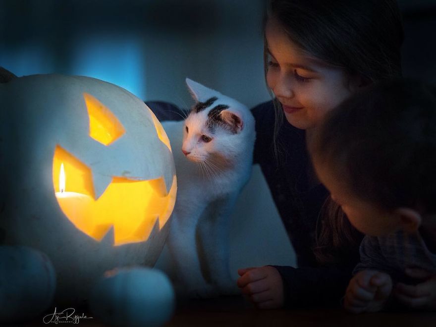 In Only 3 Years A Proffesional Photographer