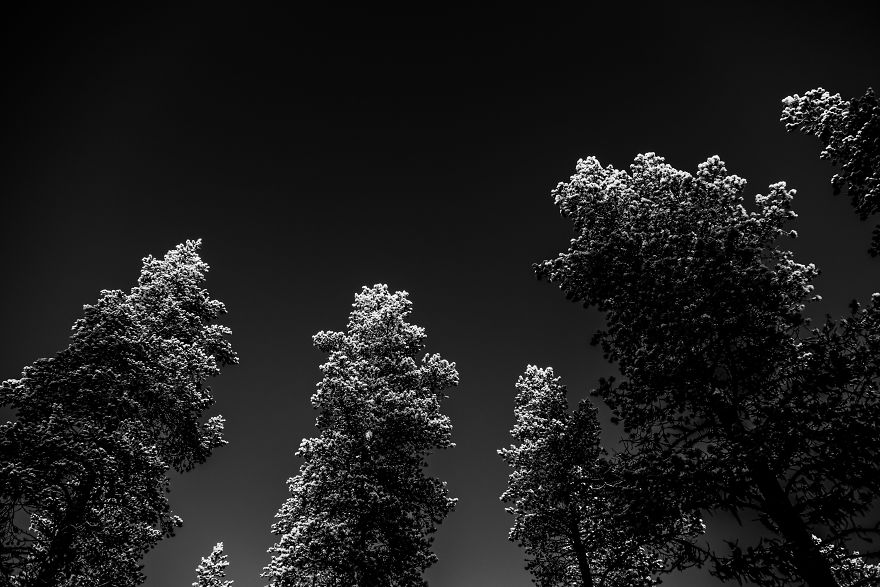 I Stayed In The Kakslauttanen Arctic Resort