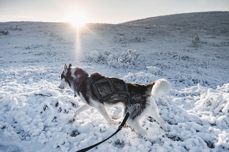 I Stayed In The Kakslauttanen Arctic Resort
