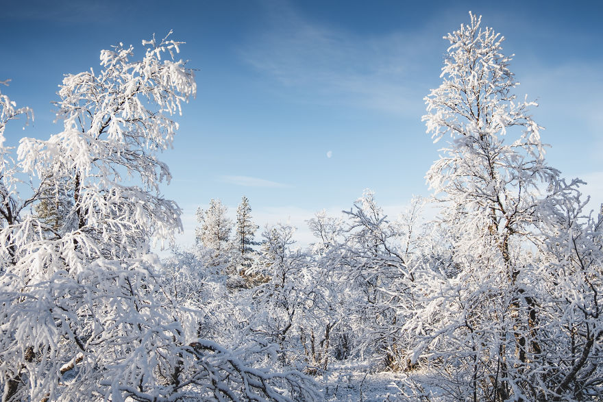 I Stayed In The Kakslauttanen Arctic Resort