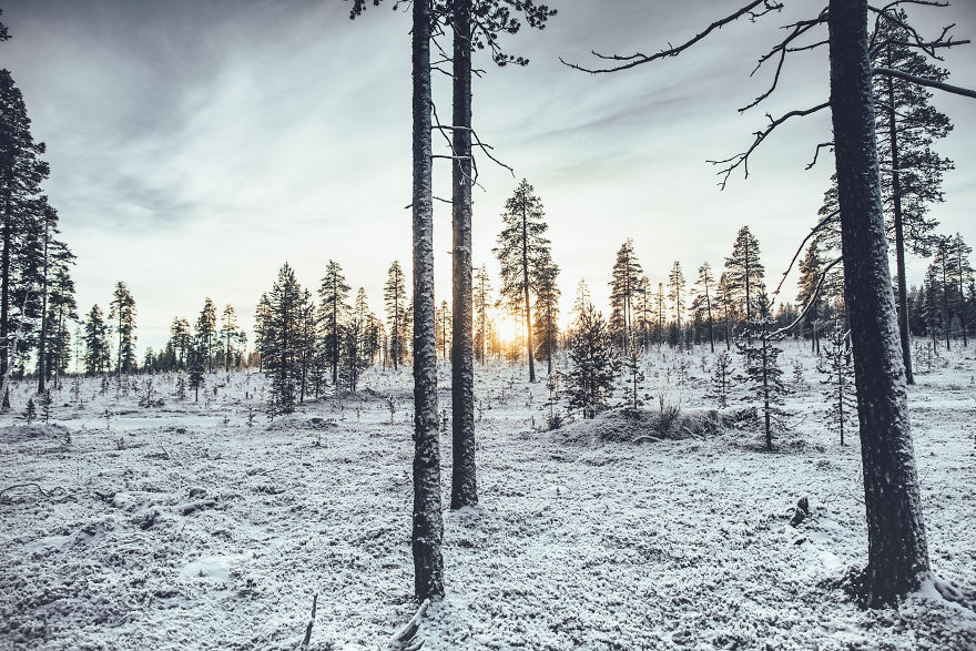 I Stayed In The Kakslauttanen Arctic Resort