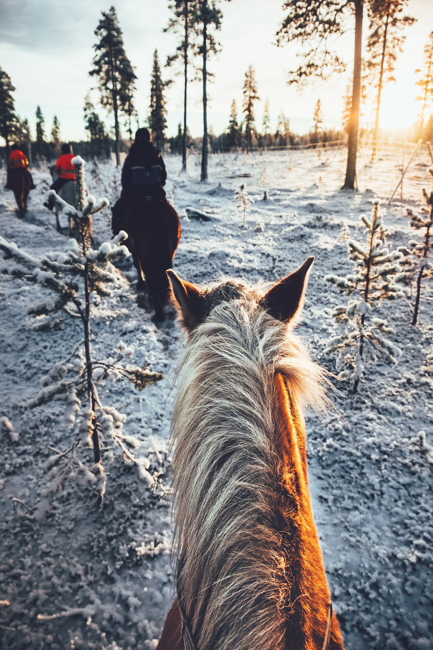 I Stayed In The Kakslauttanen Arctic Resort