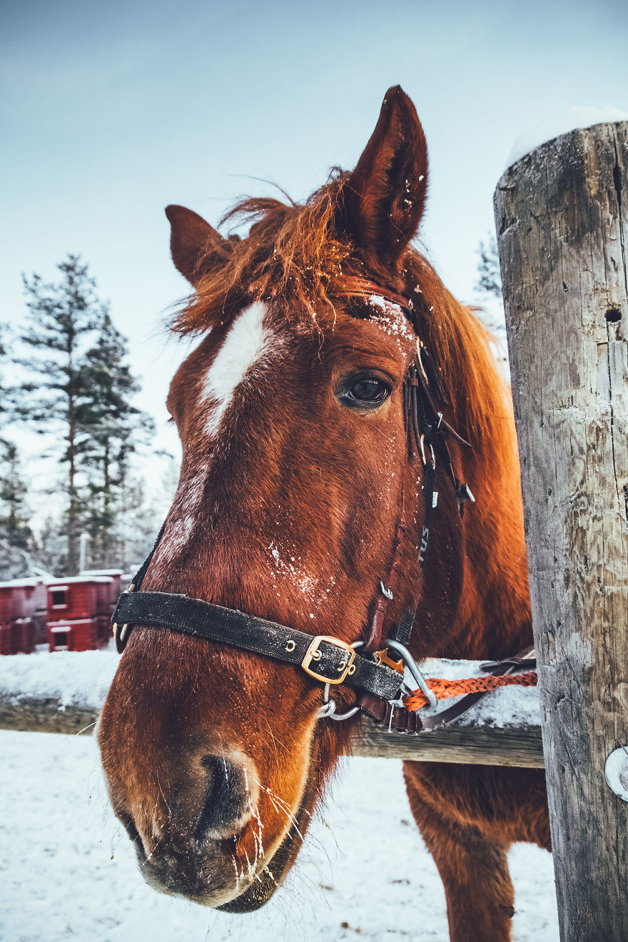 I Stayed In The Kakslauttanen Arctic Resort