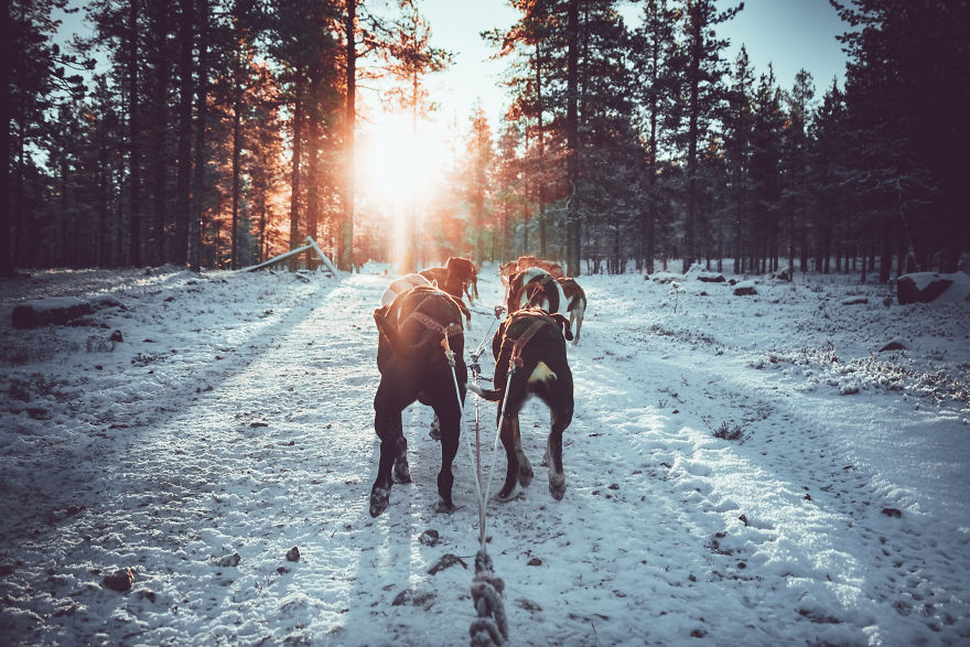 I Stayed In The Kakslauttanen Arctic Resort
