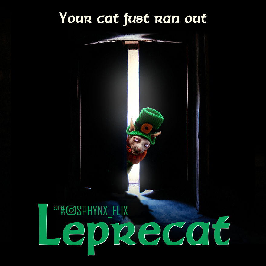 Leprechaun
