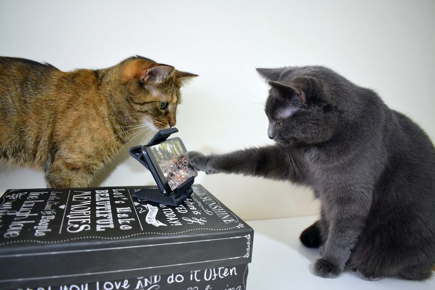 Mobile Support. That’s Great For Watching Birds