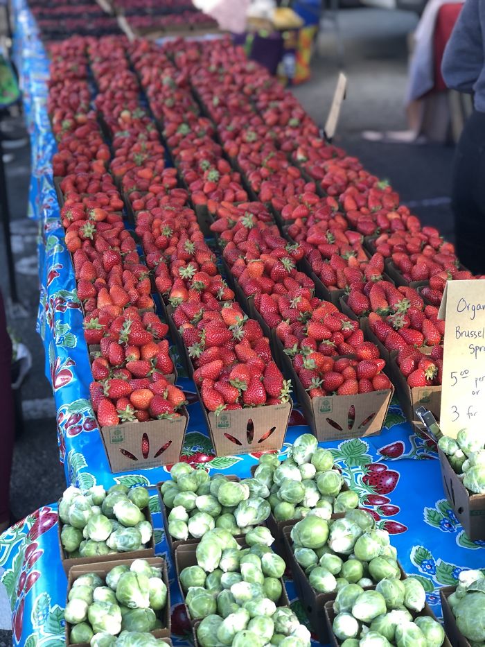 Australian Traveler Went To The US & Documented American Food