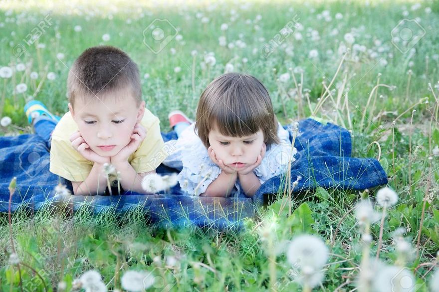Artist Removes Books To Show Our Strange And Lonely World