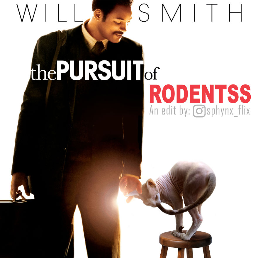 The Pursuit Of Happiness