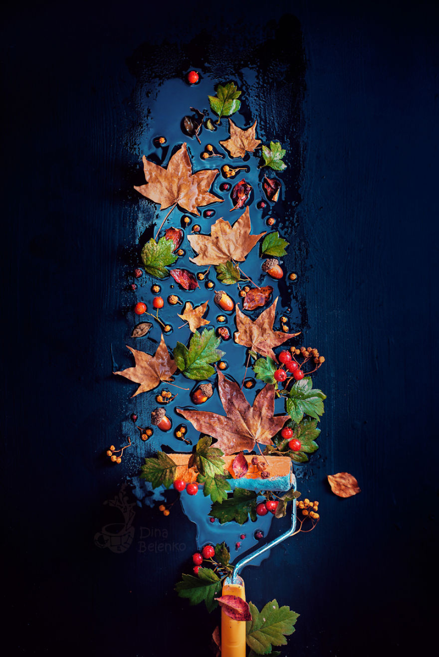 I Capture Beautyof Auumn In Still Life Images