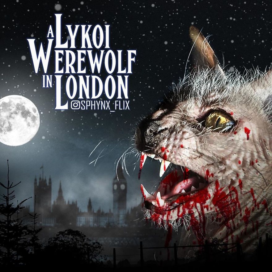 An American Werewolf In London