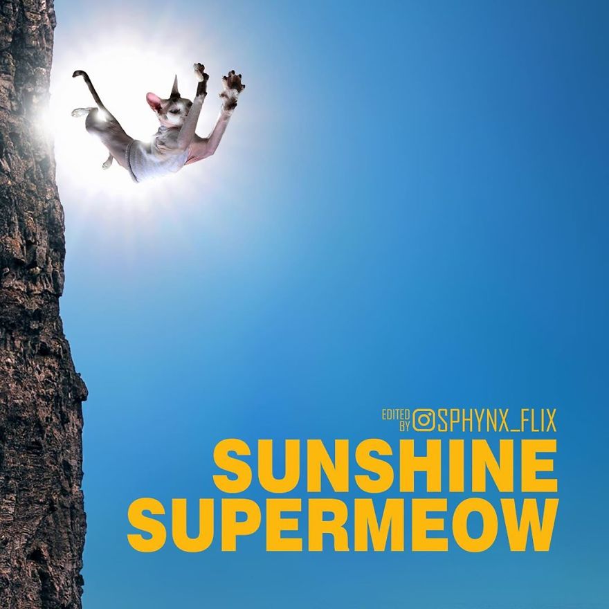 Sunshine Superman