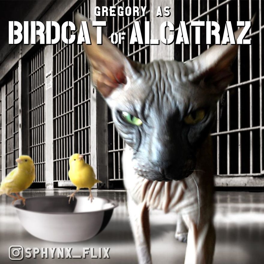 Birdman Of Alcatraz