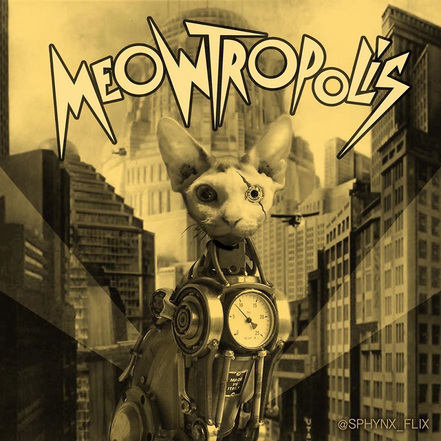 Metropolis