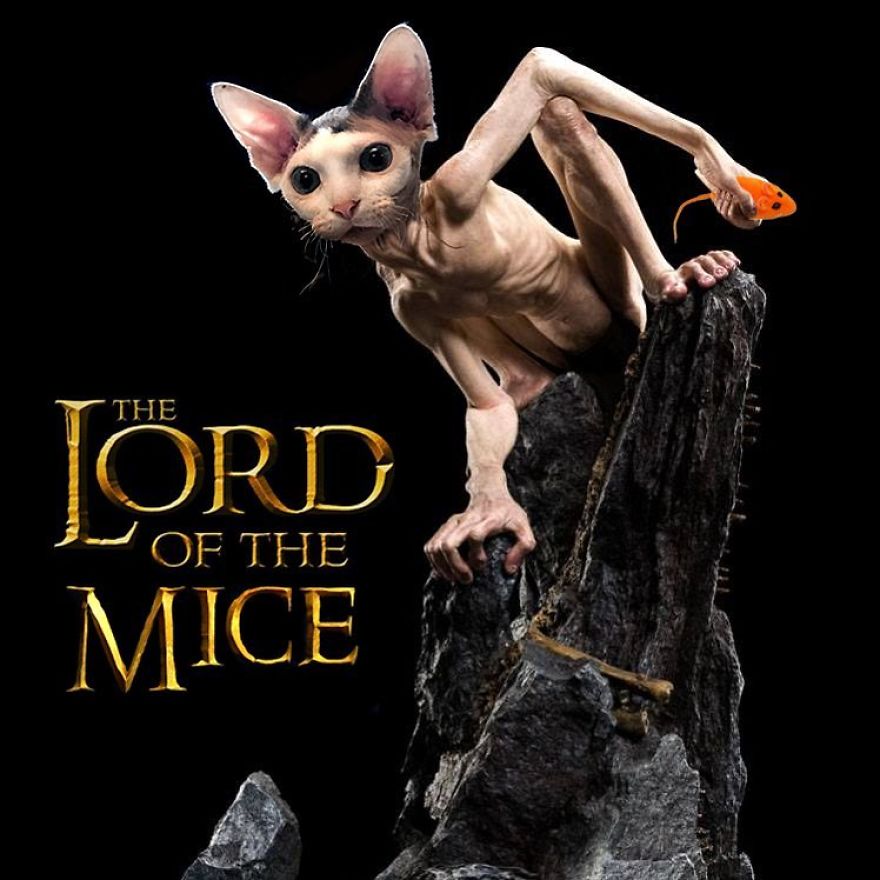 The Lord Of The Rings