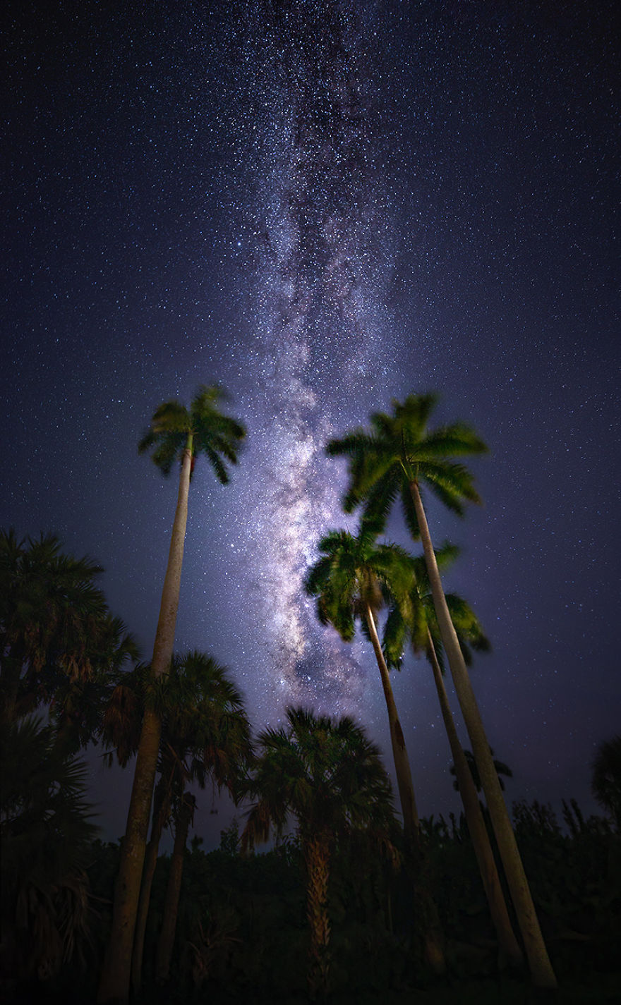 Exploring The Dark Skies Of The Everglades Exploring The Dark Skies Of The Everglades