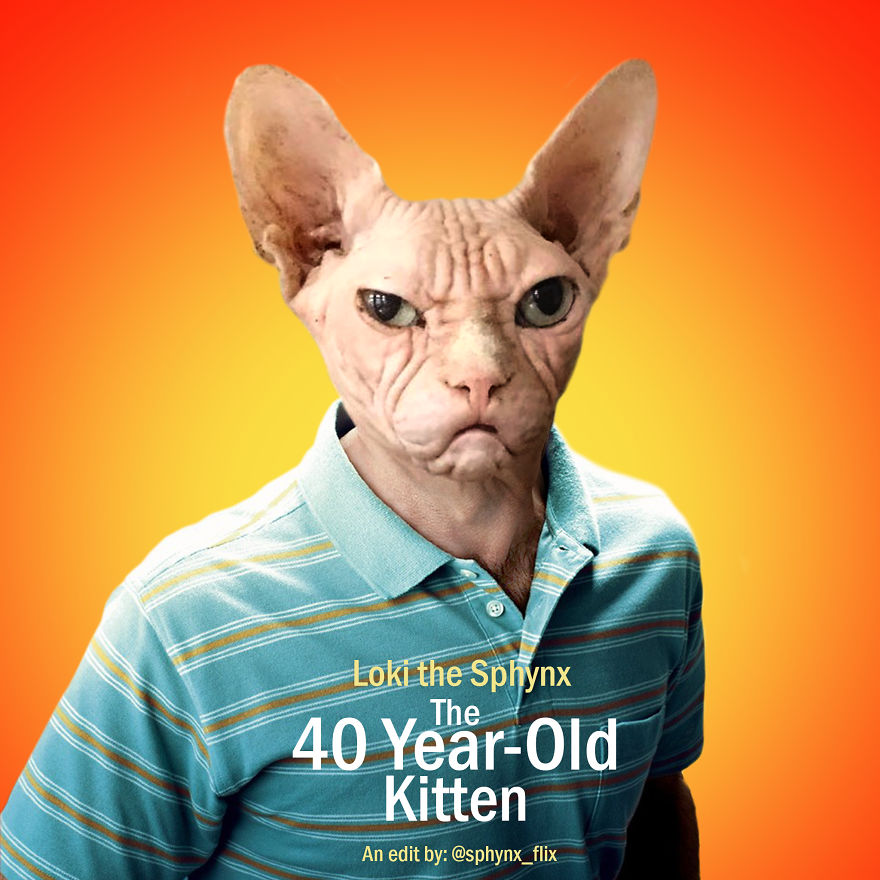 The 40-Year-Old Virgin