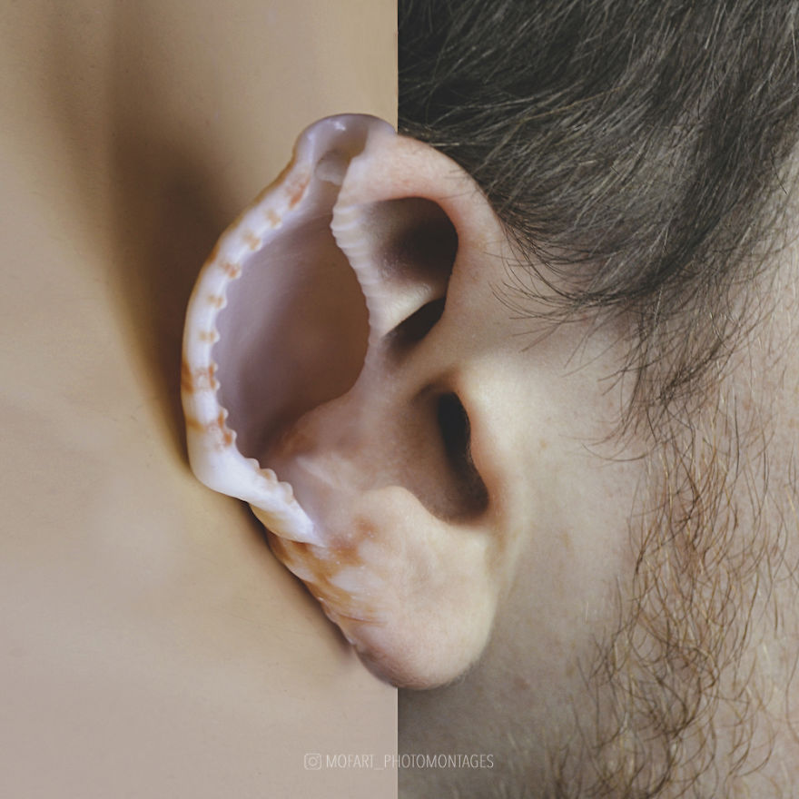 The Sound Of The Sea-R