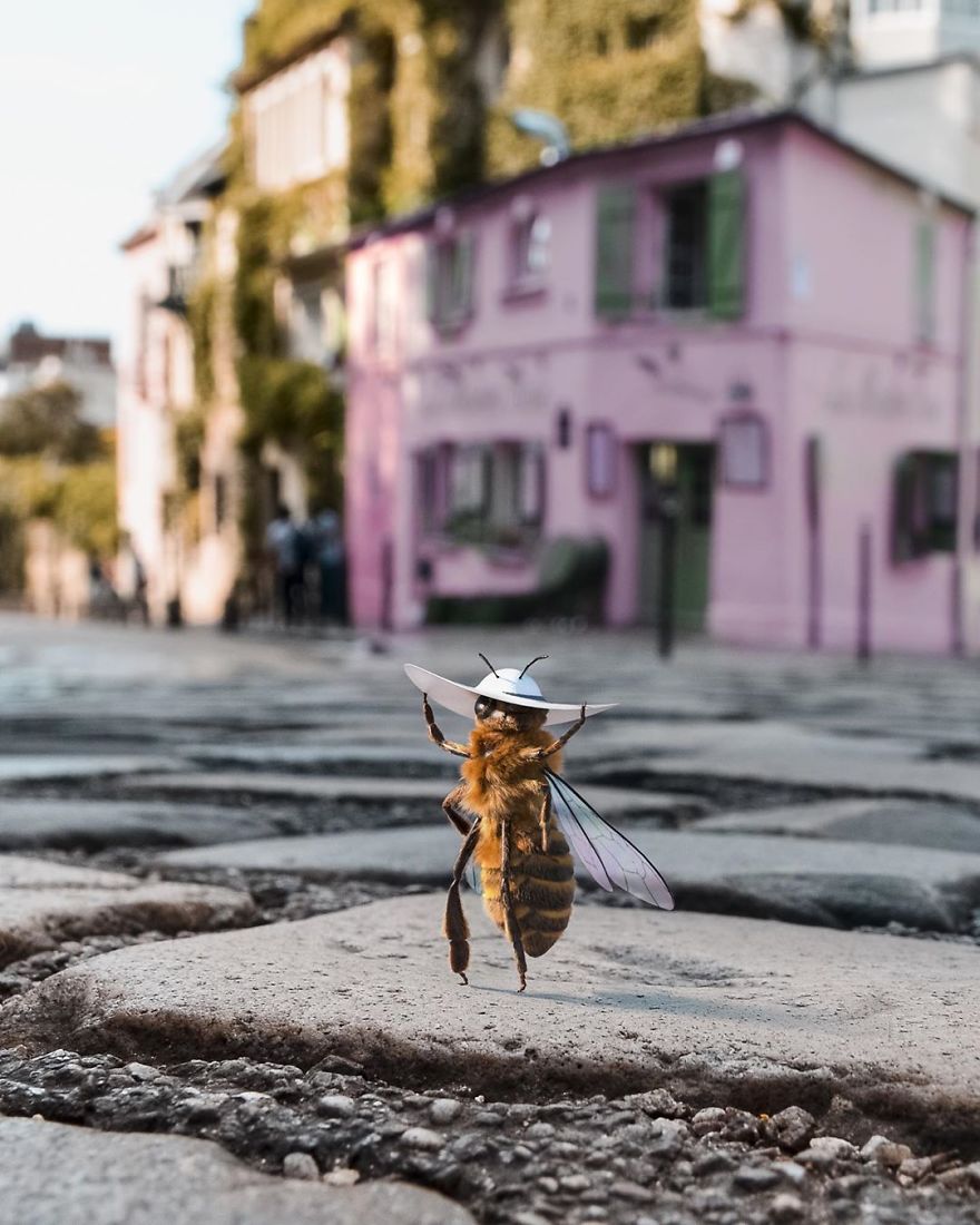 The World's First Influential Bee Is An Activist For The Preservation Of Its Species