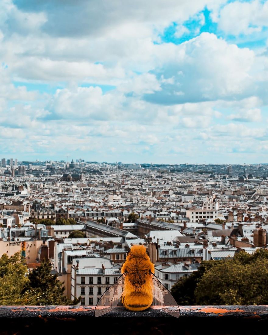 The World's First Influential Bee Is An Activist For The Preservation Of Its Species